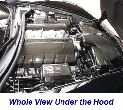 C6 Whole view under the hood-1 250