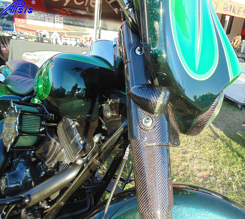 Chris bike at daytona-front turn signal+mount-1